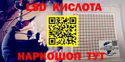 mdpv Кингисепп