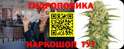 mdpv Кингисепп