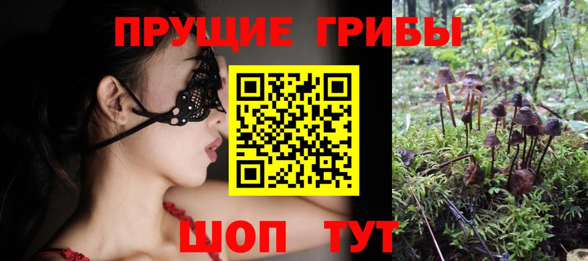 Псилоцибиновые грибы GOLDEN TEACHER Кувандык